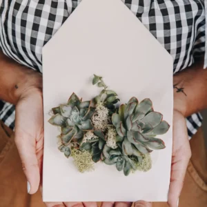 Taller de Micro Jardines en Cerámica