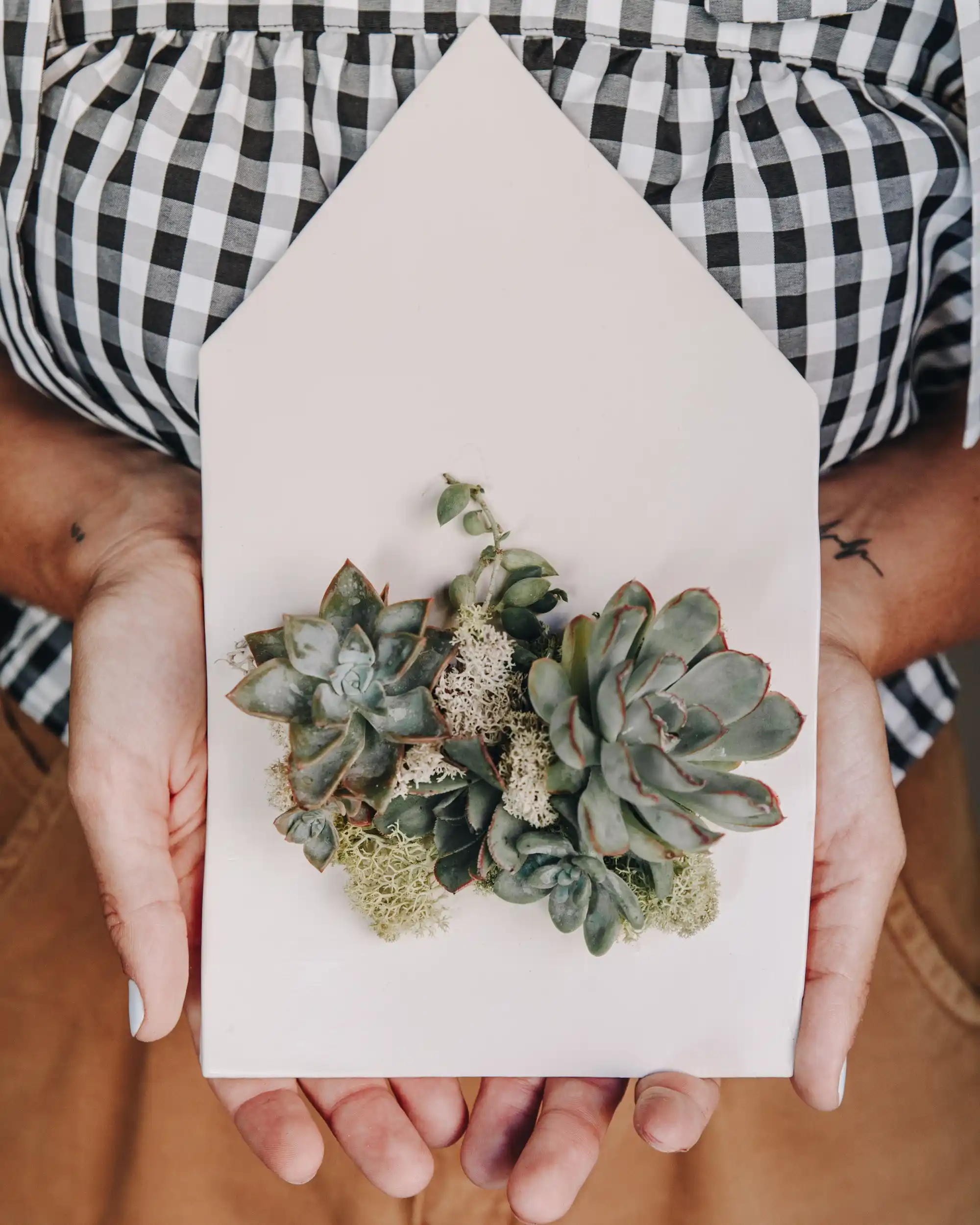 Taller de Micro Jardines en Cerámica
